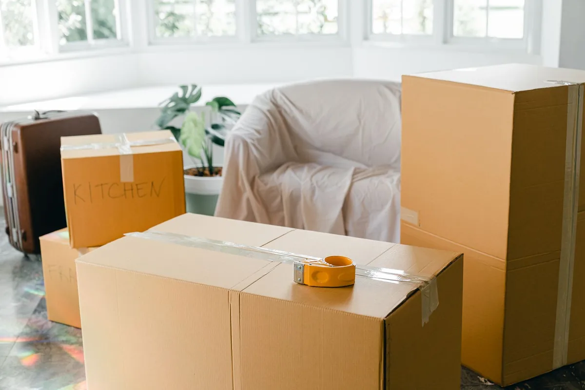 Hoarding Cleanup in Wedgefield, FL